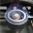 Butterfly Dapur Gas Epoxy Double Gas Stove BGC-668