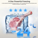 CHiQ Peti Sejuk Fridge 2 Door Inverter Refrigerator (318L) CTM251N