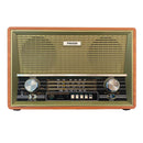 Phison Radio Mudah Alih Portable Rechargeable Radio PPR-88-G