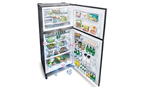 Sharp Refrigerator J-Tech Inverter - Pelican Series (610 L) SJP601MFMK